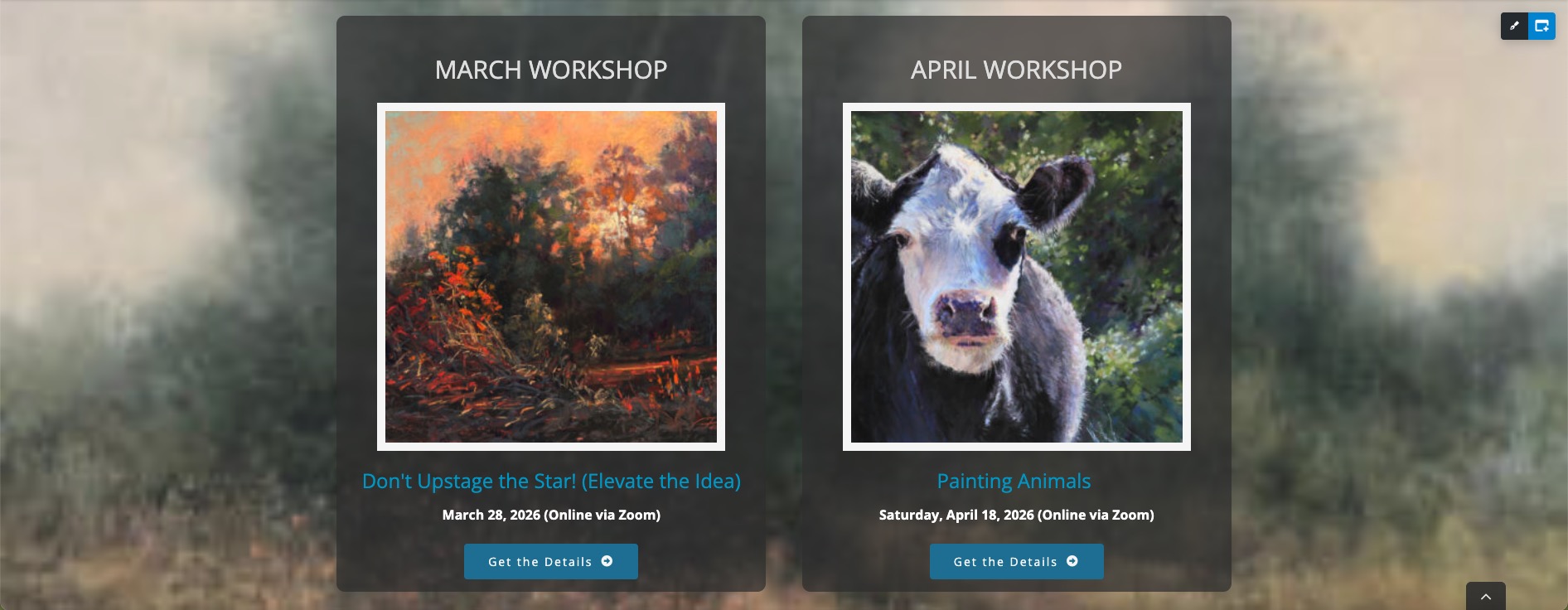 WOW Workshops